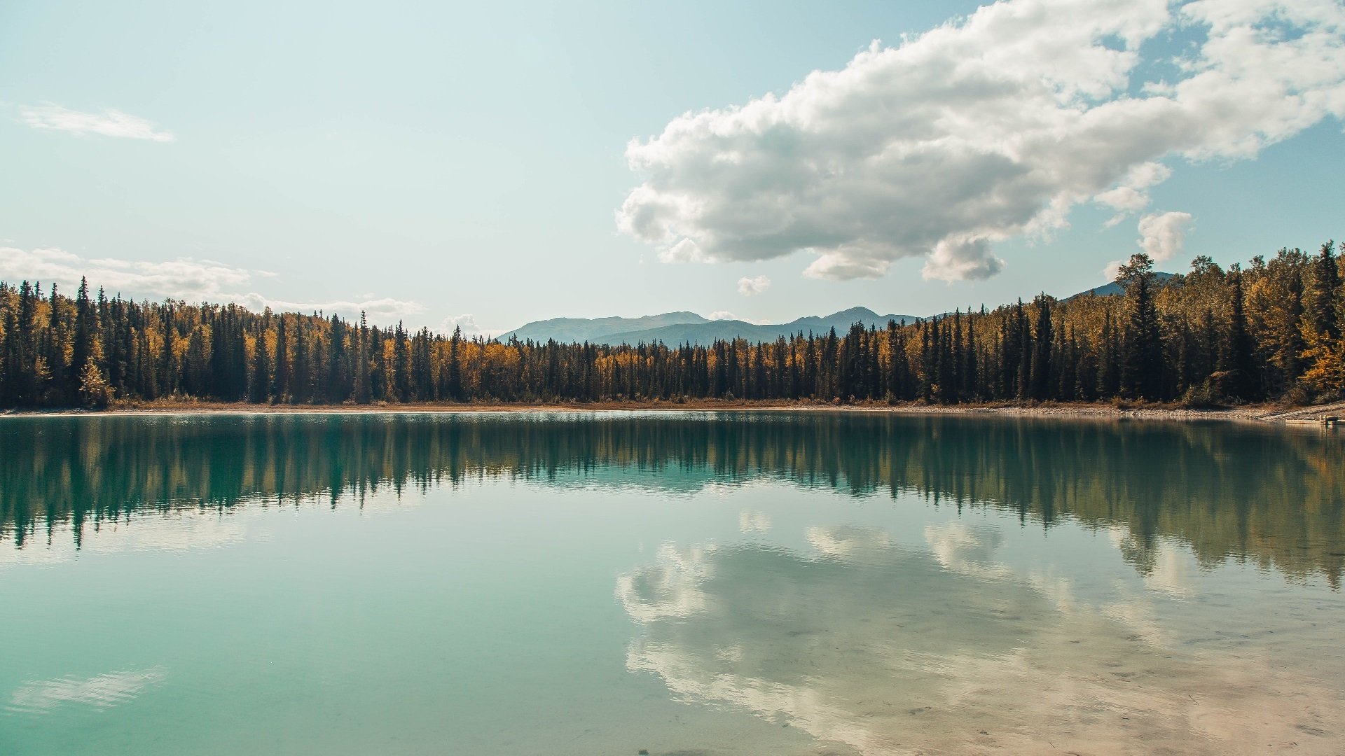 开云官方网页登录-_悉尼本土公开赛:新一期全国冠军花落谁家?_,悉尼国际赛