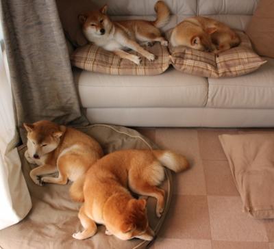 kaiyun体育综合-_运动科技创新：可穿戴设备引领新风潮_，科技运动服