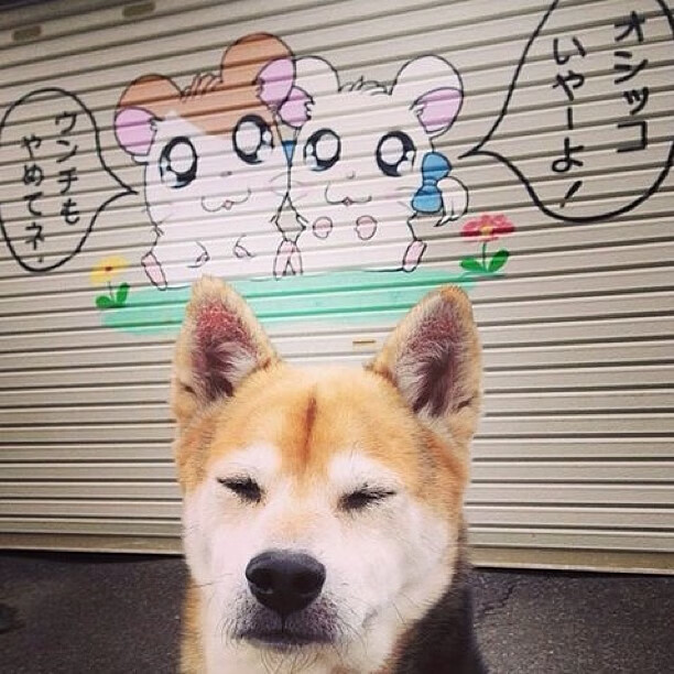 kaiyun官方入口登录-从落后到逆转：冠军争夺激烈对战瞬间，从落后到反超激励