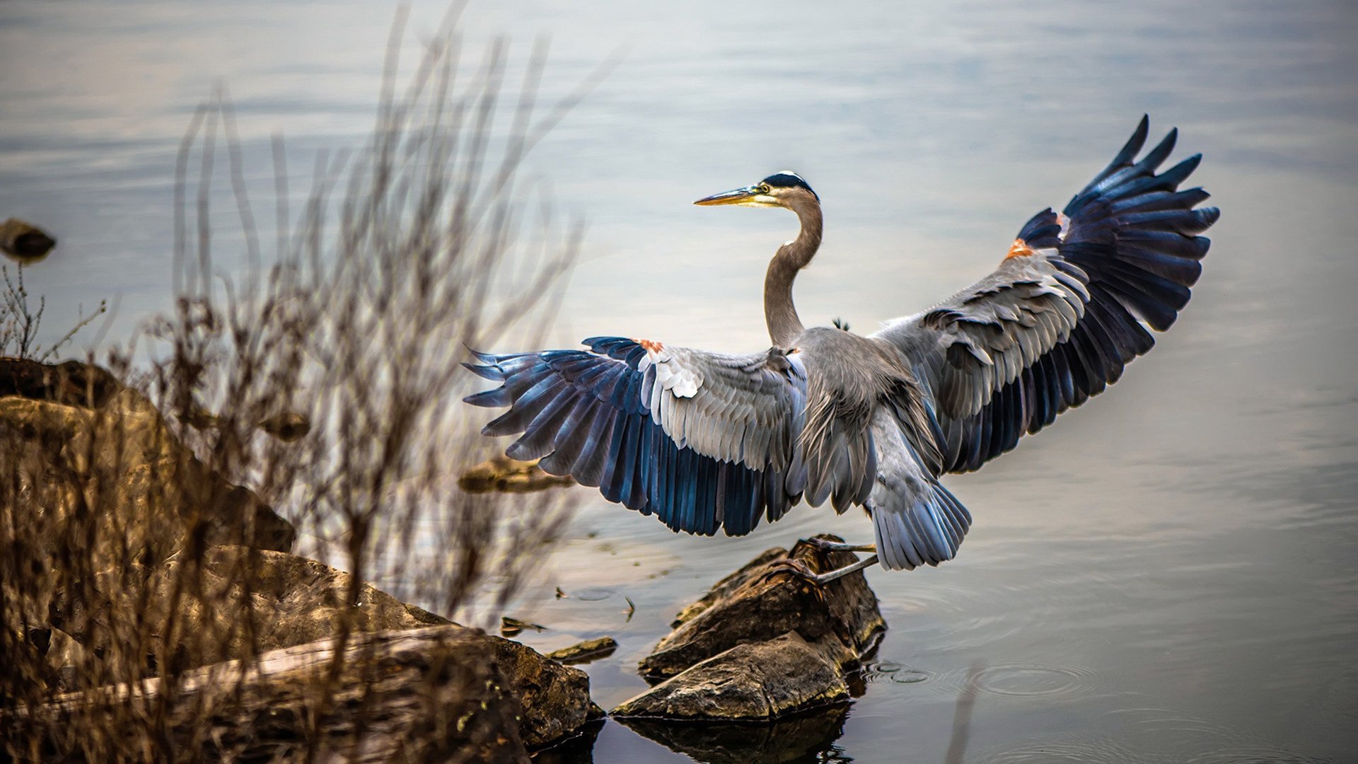 kaiyun体育app-巴黎签下一名欧洲顶级中场,战术布局更加丰富,巴黎中断比赛