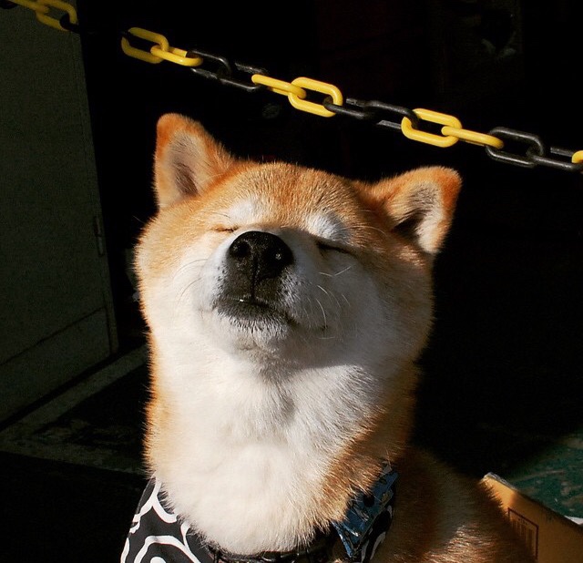 kaiyun体育app-巴黎签下一名欧洲顶级中场,战术布局更加丰富,巴黎中断比赛