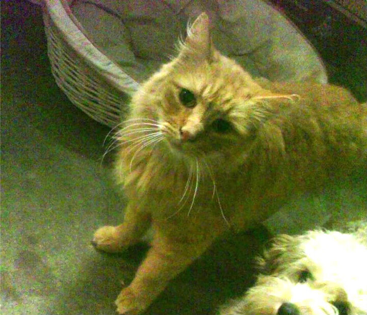 KAIYUNAPP-电竞赛事内容创新丰富观众体验，电竞赛事活动环节