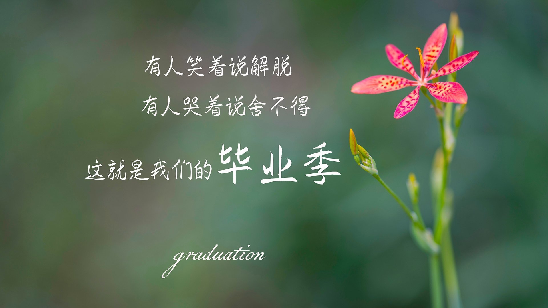 开云平台-荷兰男足在预选赛中仅获4分，排名第三，荷兰男足近期战绩