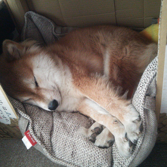 开云官方网站-青少年水上漂流挑战赛，自然水域的极速冒险，水上漂流项目