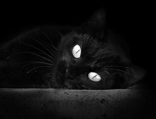 开云入口-KPL选手赛后数据分析发布，kpl参赛人员