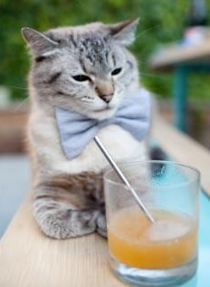 开云中国大陆-JDG开启职业选手专项康复计划