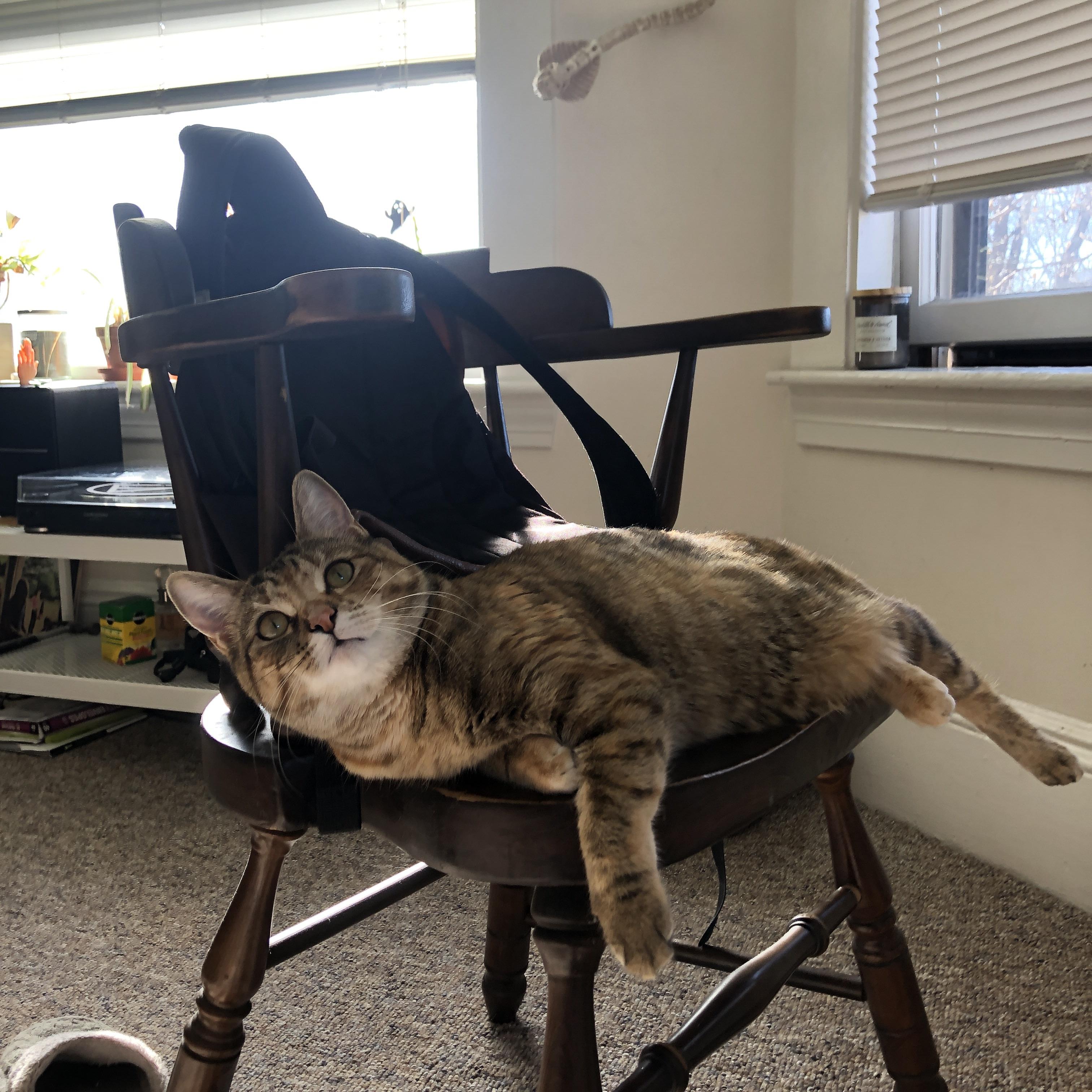 Kaiyun(中国)开云-德国女子柔道选手米里亚姆·布特克雷特获得70公斤级银牌，德国柔道运动员