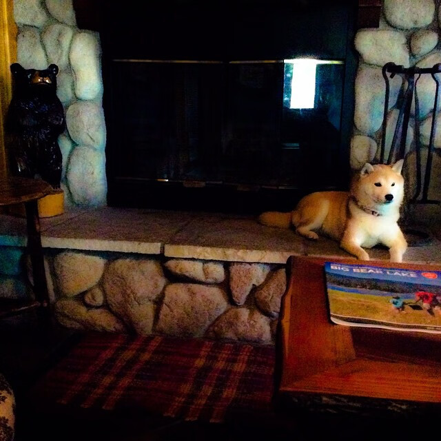 KAIYUNAPP-汉堡队主场告捷，暂时摆脱降级危机，昨晚汉堡队比赛