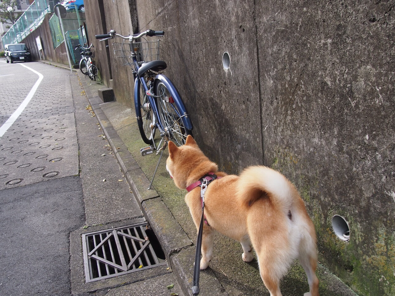 Kaiyun(中国)开云-阿斯顿维拉客场4-0完胜伊普斯维奇，豪取三连胜，2021阿斯顿维拉引援