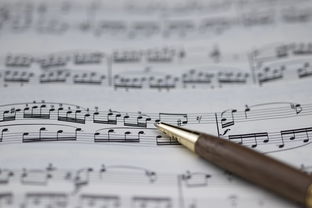 kaiyun中国官方网站-NBA球员职业规划建议与实施，nba球员怎么规划锻炼和训练