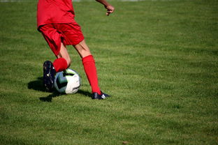 kaiyun体育app-中国篮球职业俱乐部青训体系构建与实践,青年篮球训练机构