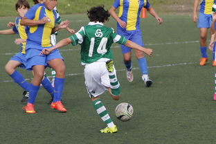 开云kaiyun-中国足球高密度传控战术回合成功统计,中国足球高密度传控战术回合成功统计