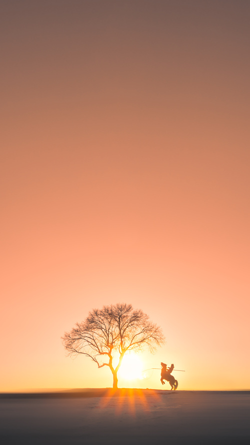 开云官方网站-体育场馆数字化管理体系，体育场馆智能化系统