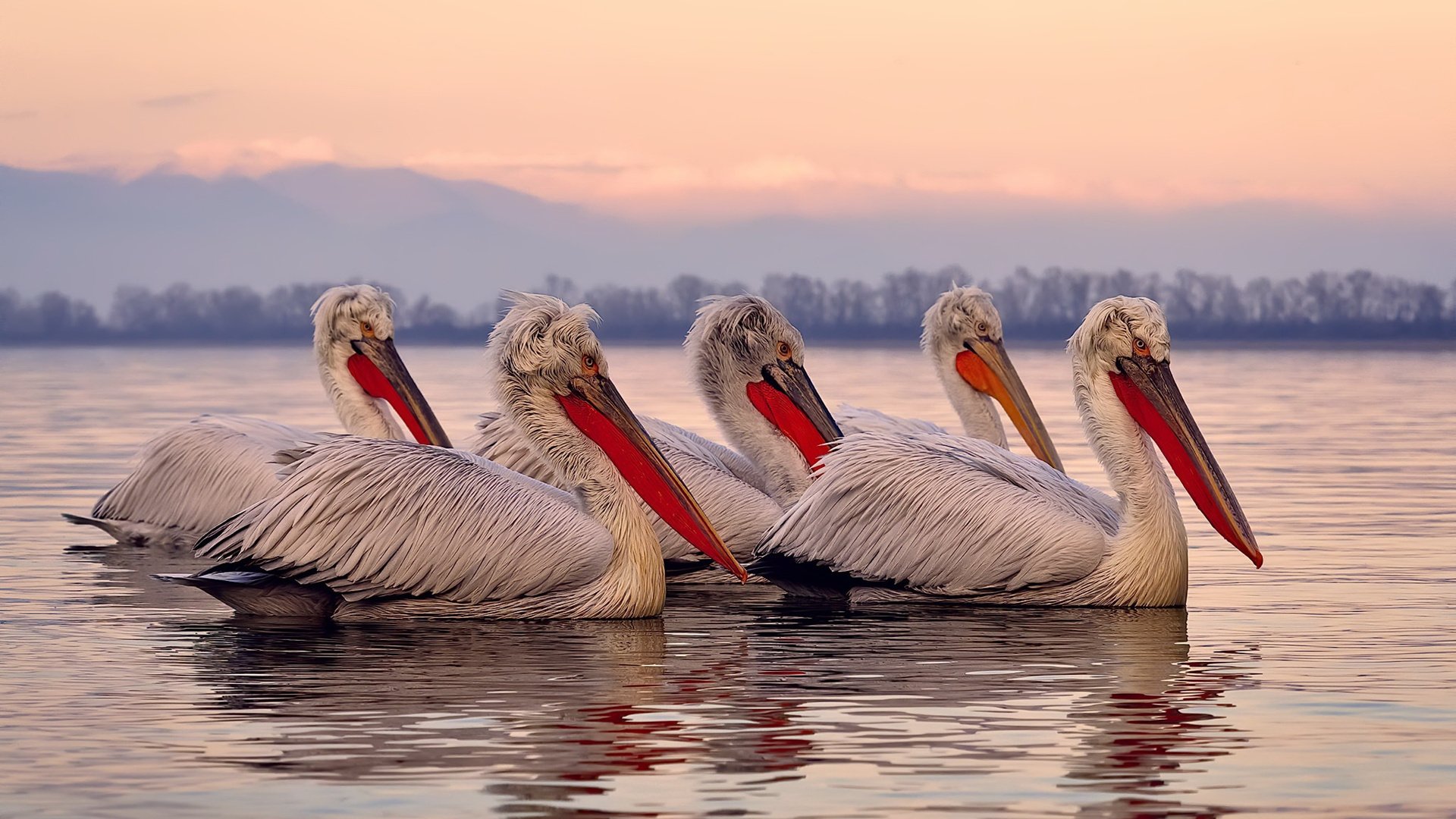 开云体育APP下载-篮球专项动作捕捉技术应用,篮球如何抓球教学视频