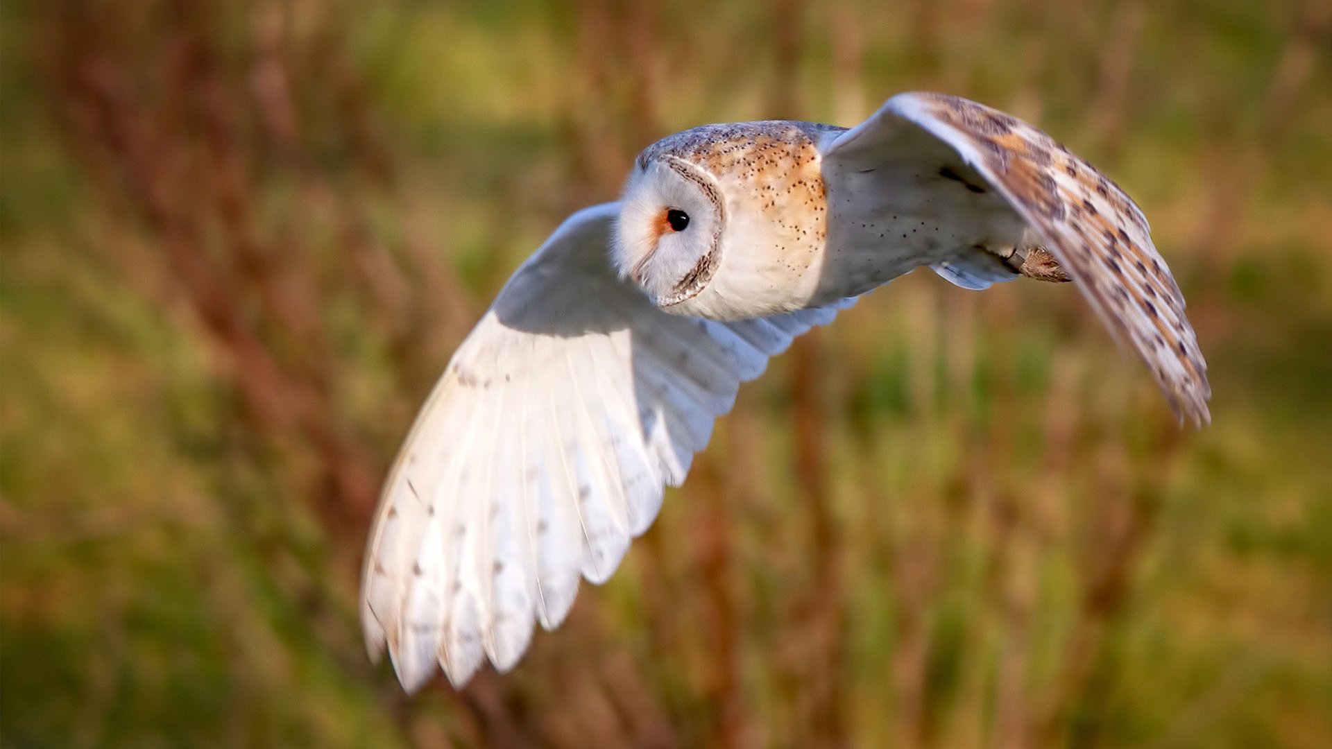 kaiyun网站-体育新闻中心协办高校体育媒体融合交流会,体育媒体服务