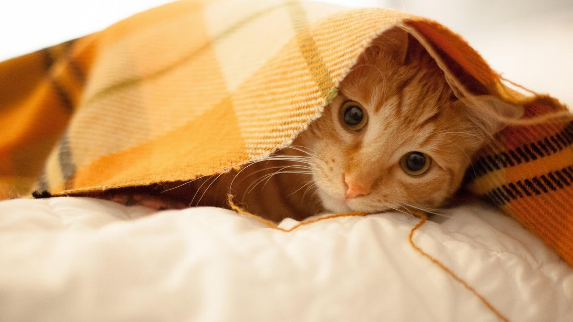 kaiyun.com-决赛中场控制力决定比赛走向，中场如何控制比赛节奏