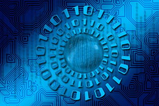 开云官网APP下载-大数据应用助力训练科学管理，大数据在训练管理中的应用