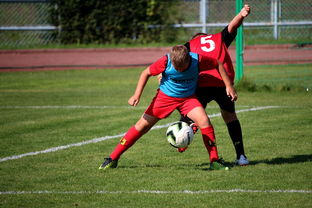 开云官方-足球俱乐部建设标准发布 加强青训基地建设，足球俱乐部青训招生