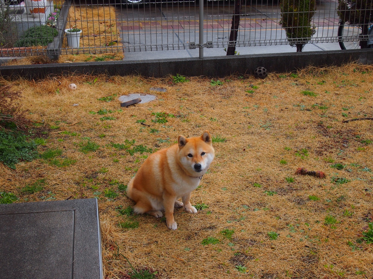 开云体育APP下载-中国队女子4×200米自由泳接力决赛成绩值得点赞，中国队女子4×200米自由泳接力夺金回放