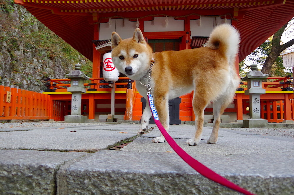 开云网页版-出发与转身技术衔接变得更为流畅，出发与转身技术衔接变得更为流畅的成语