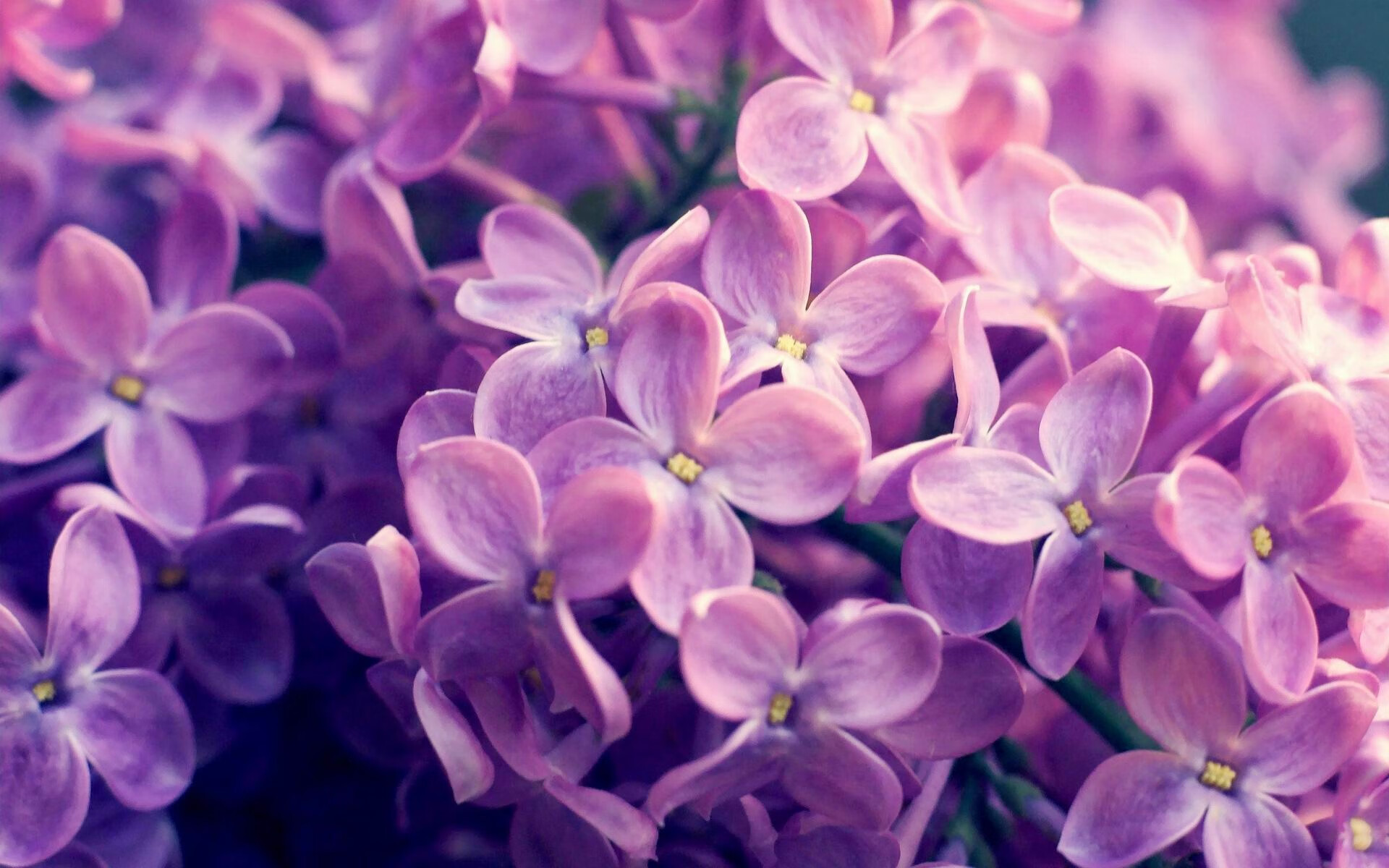 开云体育APP下载-吉尔吉斯斯坦蝶泳项目发挥稳定，吉尔吉斯斯坦滑雪