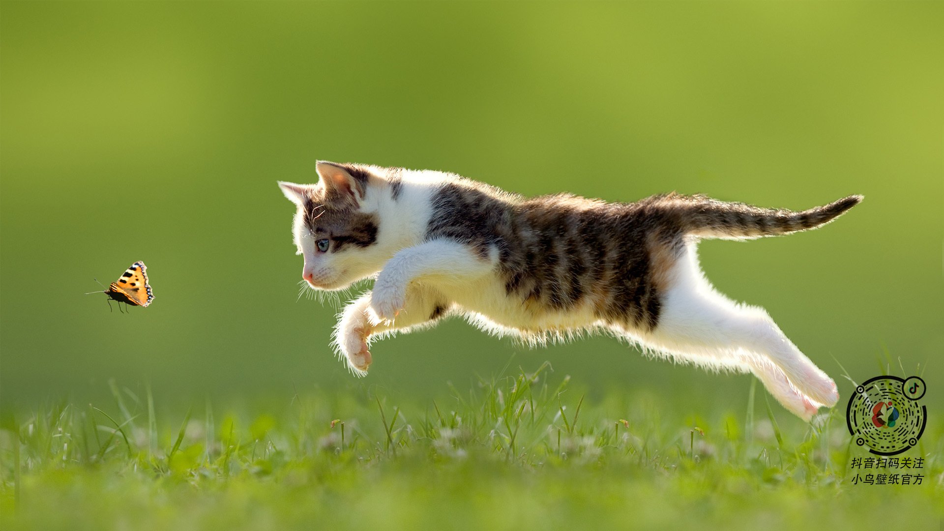开云体育-麦克沃伊决赛压线胜出惊险夺冠，麦克沃伊游泳